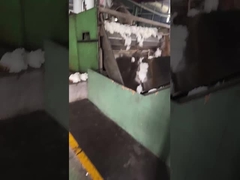 Custom Poly Staple Fiber tái tạo 100% Polyester Fiber Medium Fiber Crimp